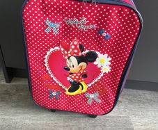 cabin bag
