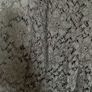 Vintage black lace trousers Image 3