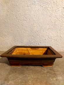 Medium Bonsai Pot #8