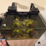 marine fish tank Image 7