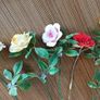 Vintage Aynsley porcelain flowers on stems  6pc Image 3