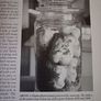 An Irish Century / 1845-1945/ From the Famine to World War 2/ Stephen Small / 1998 Image 10