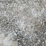 rug Image 2