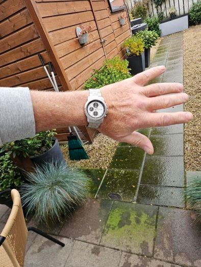 Watch Seiko Panda Chronograph
