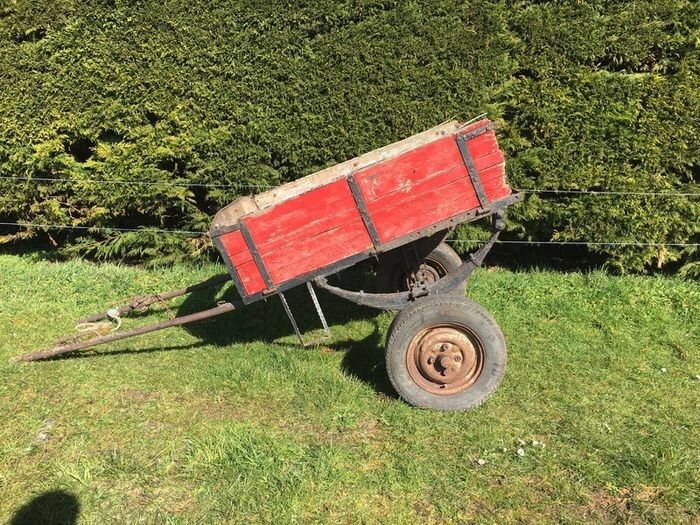 Donkey cart