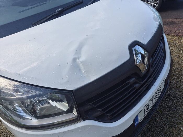 Renault Trafic 2015