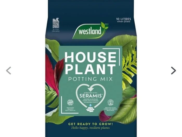 Westland House Plant potting mix 10 litres