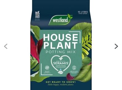 Westland House Plant potting mix 10 litres