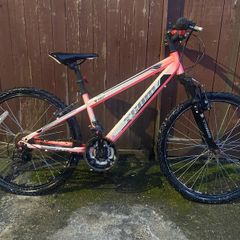 team bike