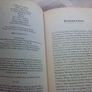 John Devoy Fenian Book Image 3