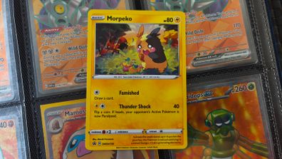 Morpeko ! Promo from Sword & Shield Era ! 2021 ! Pokemon Card !