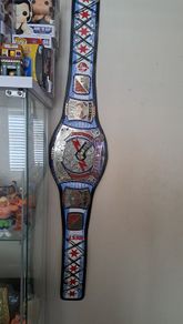 Cm Punk 434 day WWE  Championship