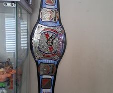 Cm Punk 434 day WWE  Championship