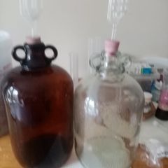home brew
