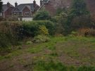 lawn care landscape and garden services Image 2