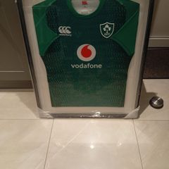 irish rugby jersey
