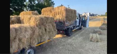 Hay square bales.