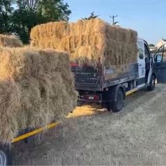 Hay square bales.