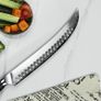 Persian Knife VG-10 Steel 10inc by Di'Casteel Image 5