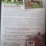 Punchestown Seeing Out The Distance Image 2