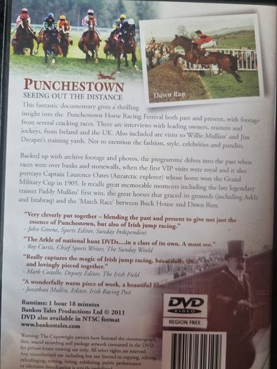 Punchestown Seeing Out The Distance