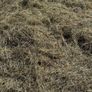Haylage Image 3