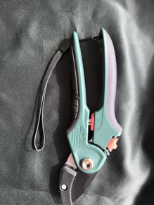 Secateurs