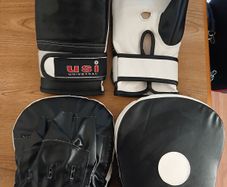 Sparring Gloves & Pads