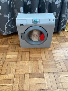 washing machine toy