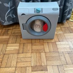 washing machine toy