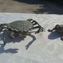 Midcentury Italian Crab and Frog Brass Ashtrays Image 2