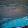 Trampoline Free Image 4