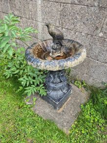 bird bath appox 2ft tall with stone bird