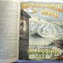 The SHAMROCK. 51 editions. National Magazine of Ireland News politics Illustrated. 1892. Rare antique book, novel. Image 2