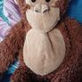 Hanging Monkey Image 2