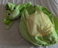 Dinosaur costume