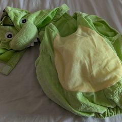 Dinosaur costume