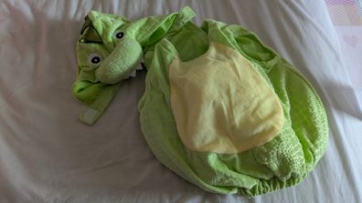 Dinosaur costume