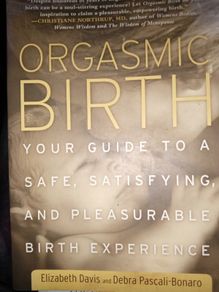 Orgasmic Birth: Your Guide to a Safe, Satisfying, and Pleasurable Birth Experience