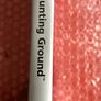 PS2 Rarity Haunting Ground 2005 Image 3