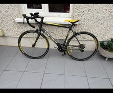 Adult Road Bike