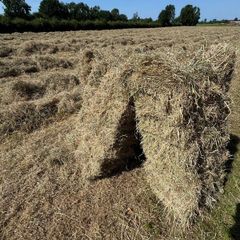 Square bales hay - North Galway
