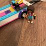 Friends Puppy Parade lego Image 3