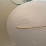 New Tiara Image 5