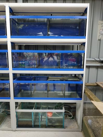 Fish shop cabinet with sump