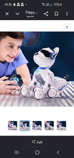 Ziggy dog robot