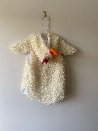 Costume (age 2-3)