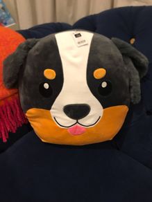 Dunnes cushion present