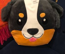 Dunnes cushion present