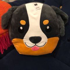 Dunnes cushion present